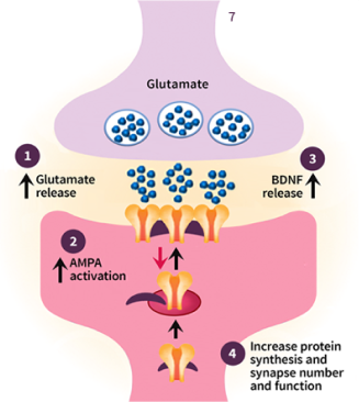 How SPRAVATO® nasal spray works